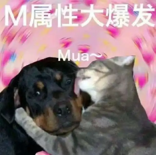  让女朋友最爽的5个姿势单身勿入