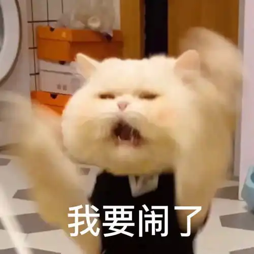 进城了表情包宠物