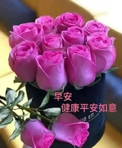  超级漂亮的鲜花早上好表情包,每天都是漂亮的开始