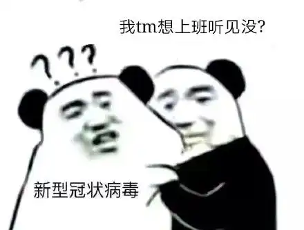 我tm表情包熊猫
