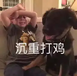  精致girl必备神技能会买会用会垃圾分类