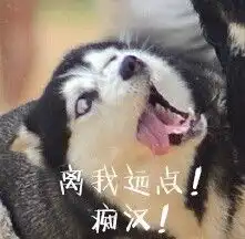  我从来没有见过,这么装逼的哈士奇表情包,有了它称霸装逼界