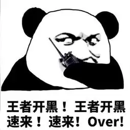  王者迪布的美拍