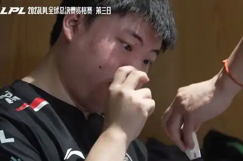  uzi哭了edg无缘s赛,uzi忍不住落泪meiko捂脸,ale也心态崩了