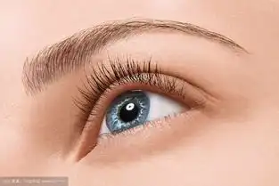  女明星的眉形不一定比你好看,只是比你会画眉