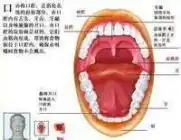  东莞健力口腔医院