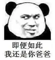  表情包爸爸系列