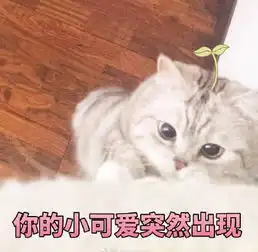  搞笑萌猫表情包看你的小可爱突然出现了呢