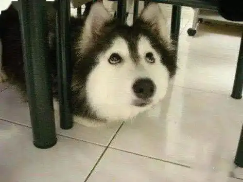  千万不要随便帮孩子拍照否则....哈哈哈哈哈哈哈