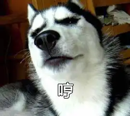  表情包比哈士奇还多,全世界都被这只柴犬圈粉