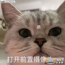 隐藏图表情包我喜欢你文