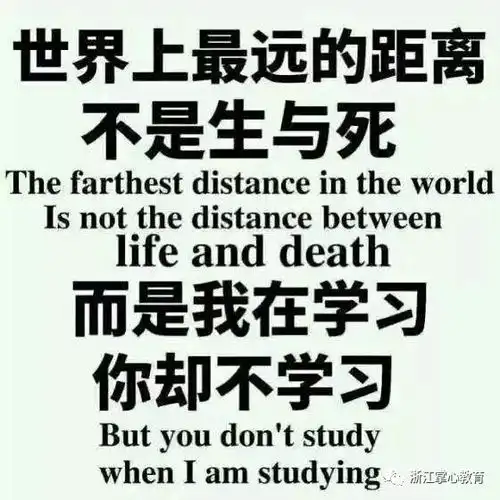 藏语问候表情包表情包