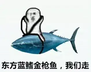  别再转发锦鲤了一条鲫鱼把50名高中生送进清华北大