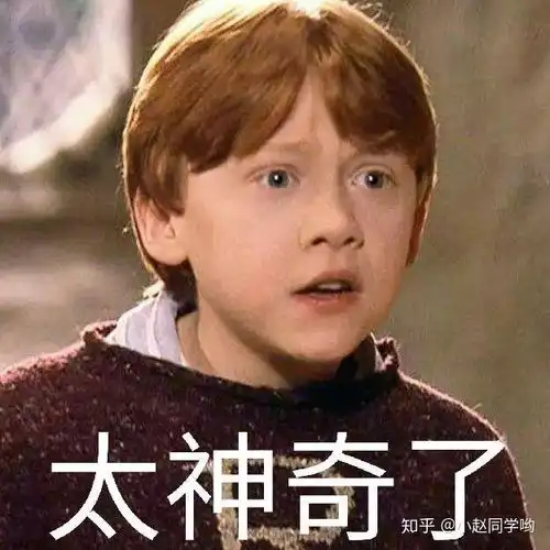  太可爱,哈利波特之罗恩表情包头像大集锦