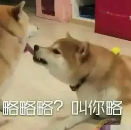 桃白白舌头杀表情包