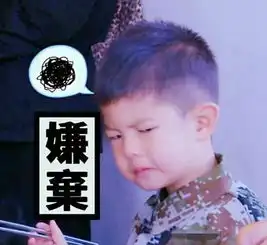  心疼沙溢上跑男被惨虐,被水暴击成表情包引热议节目组欺负人
