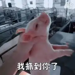  抖音表情包很想要对不对