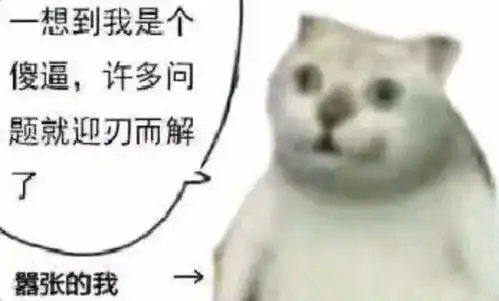 担心表情包猫咪憨憨