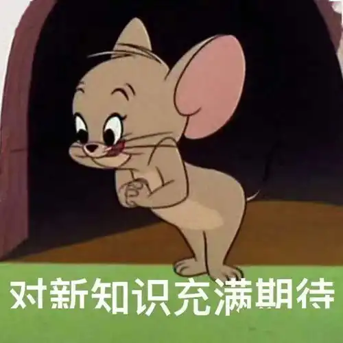 猫咪冲刺表情包学习