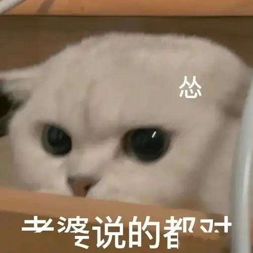  心动预警40件真爱睡衣软软糯糯超好穿