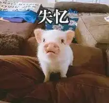  笑si只有学渣才懂的11种神奇复习方法,哈哈哈哈哈哈......