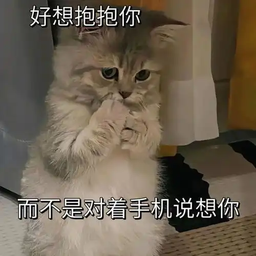  一组情侣聊天实用的表情包