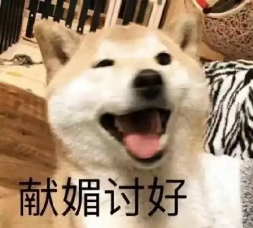 求和女朋友聊天的表情包 求和女朋友聊天的表情包