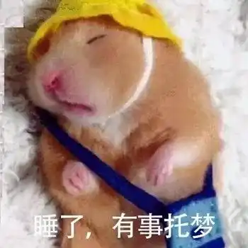  沙雕表情包我早晚拱了你这颗白菜