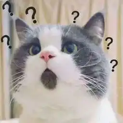  头上带问号的懵逼表情包黑人问号各种各样都有