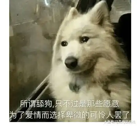  笑话段子老板可以试试吗老板说可以