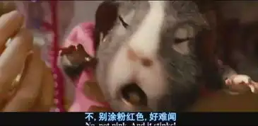  豚鼠特工队背景音乐