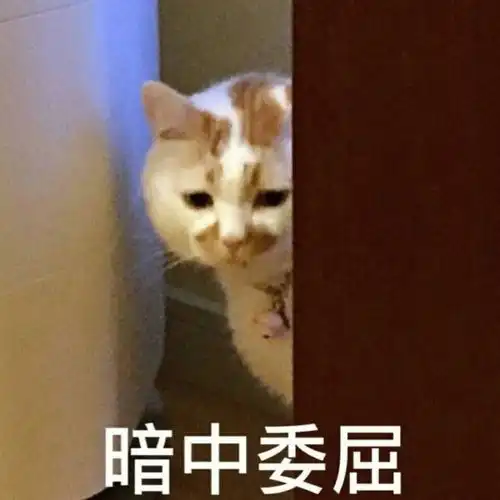  收集到的生气的表情包快来拿走嘻嘻嘻