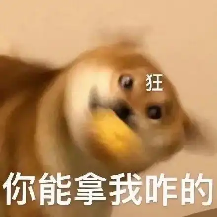  e句话看天下大刘拍卖了76只珍藏爱马仕