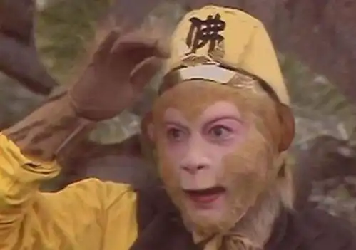  孙悟空号称齐天大圣,为何连黑熊精都打不过菩提早就提醒过它