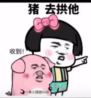  表情猪拱白菜表情包