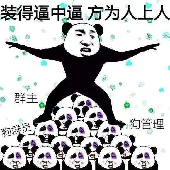  喜提热搜的名媛,英文怎么说