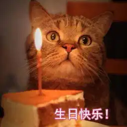  生日表情包可爱版合集祝小可爱生日快乐