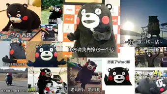  没有表情包,你就不会说话了