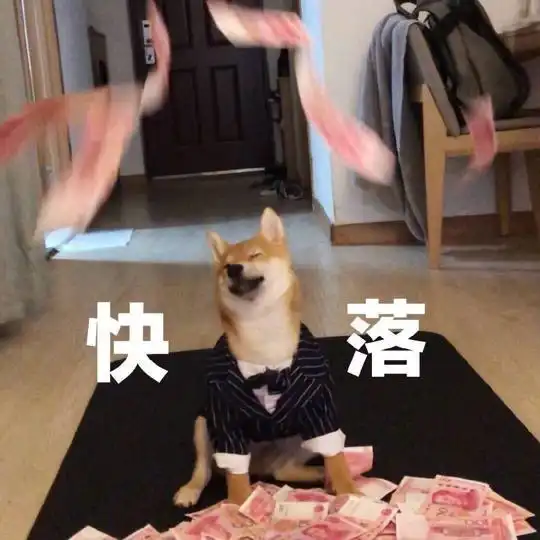 狗狗带头套表情包