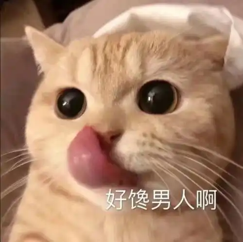 搞笑的动图表情包头像