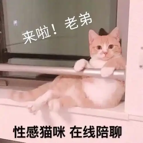  万圣节恐怖夜,换张皮再换个头出去苏喂苏喂吧精分剧场