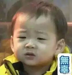  如图,这个小孩有段时间很火的样子,韩国的叫啥呀