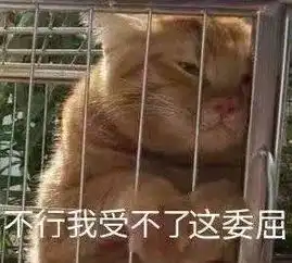  天呐5旬大妈婚内出轨80后小伙,结果太狗血...