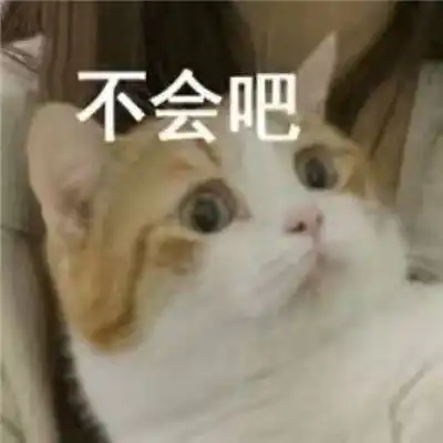  2021可爱沙雕小猫咪表情包合集小猫咪才是永远的神