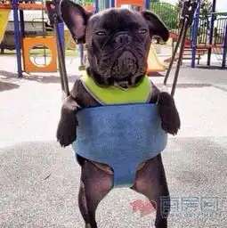  一周楼市播报地产婊出没