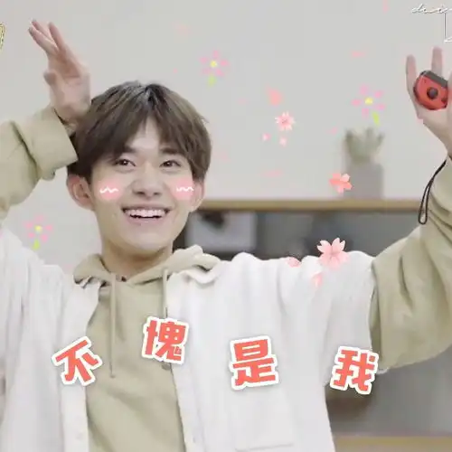 时代少年团沙雕表情包张