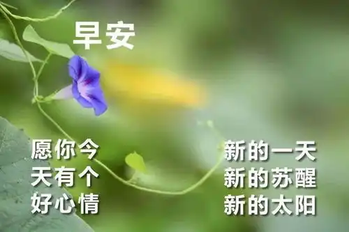  下午好表情图大全最新下午好问候动态表情图片冬季早晚防寒问候图片带字温馨