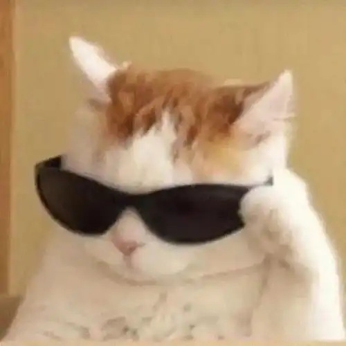  科三过啦