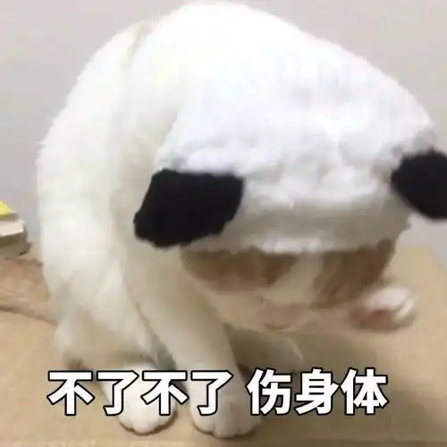 我决定放弃表情包表情包