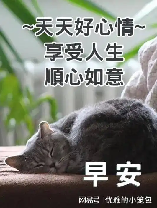 美女的烦恼表情包祝福语